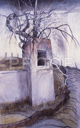 The Sentry
